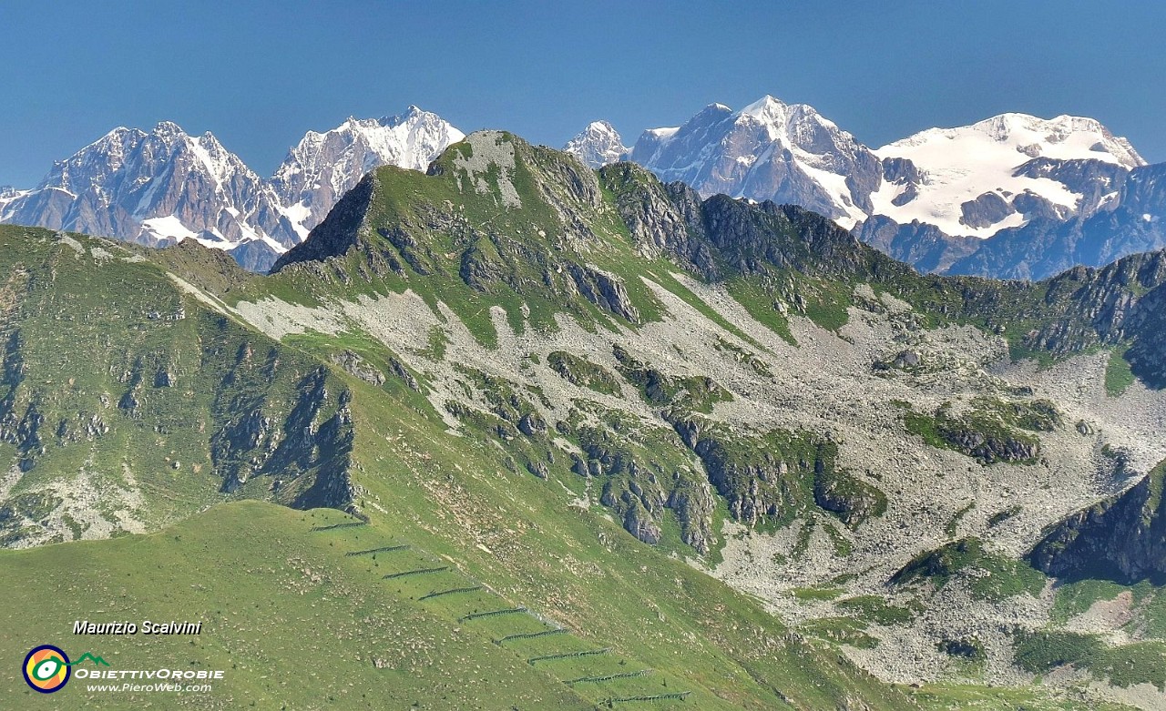 39 Il gruppo del Bernina....JPG